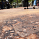 Image for article titled Photos: Inside Disney’s new Star Wars theme park